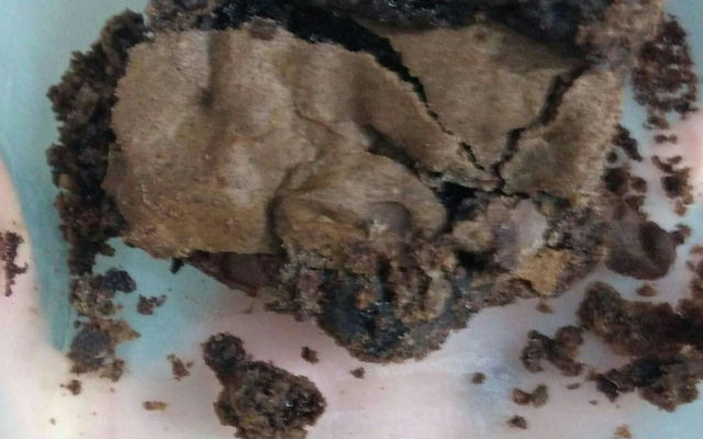 Brownie sem glúten e sem lactose