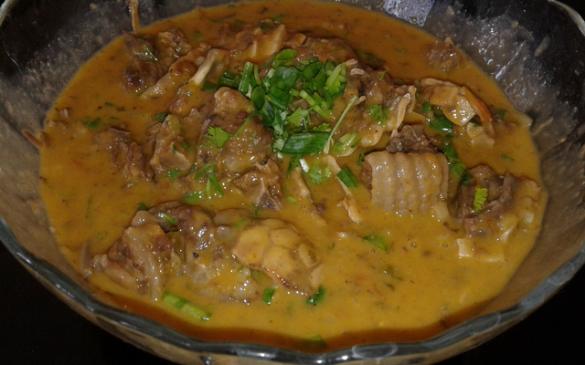 Tatu no leite de coco