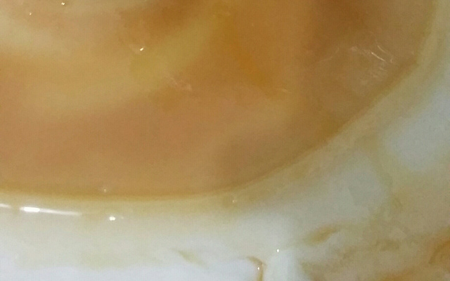 Pudim de Maria mole com Calda de Caramelo