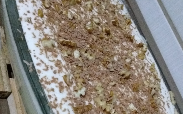 Pavê de chocolate com nozes