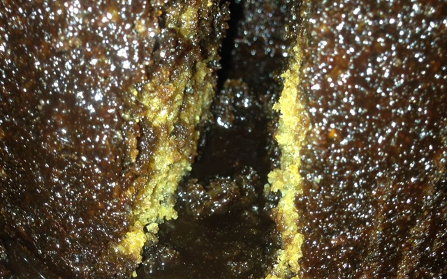 Bolo de coco com calda sequinha sem ovos