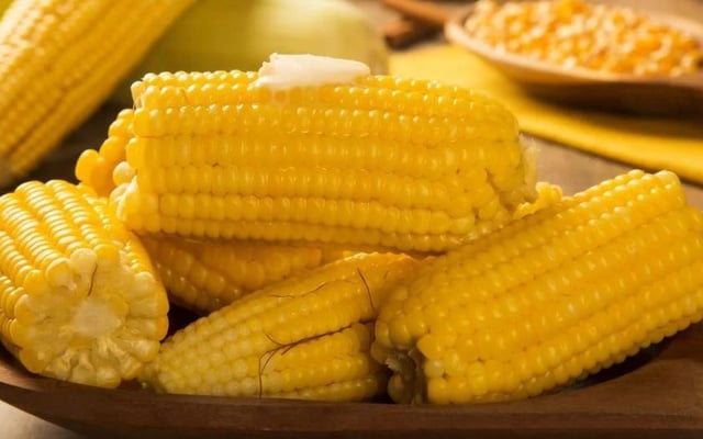 Milho cozido
