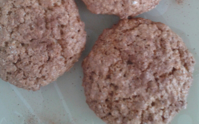 Biscoito de aveia e mel