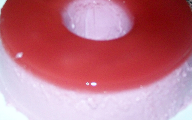 Pudim de gelatina