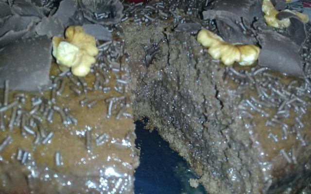 Bolo de chocolate com nozes