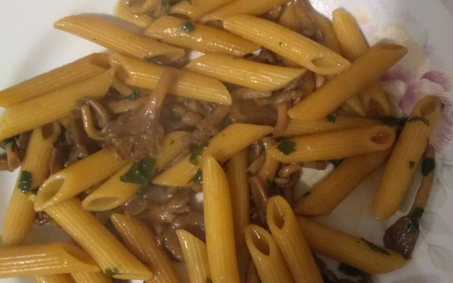Penne com shimeji