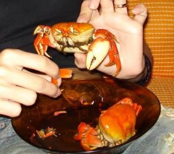 Caranguejada Pernambucana