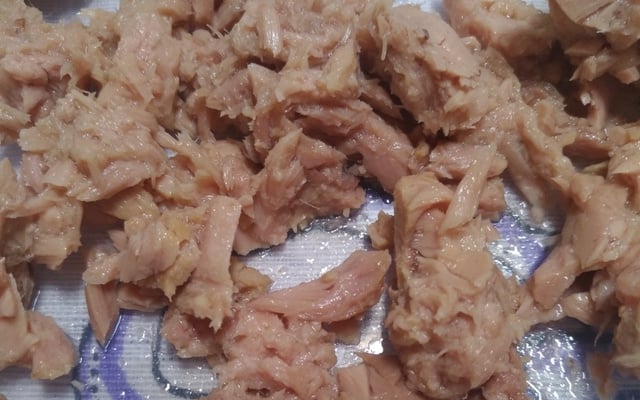 Patê de atum com cenoura