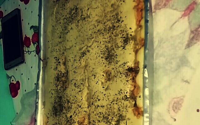 Pizza rápida de liquidificador