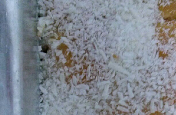 Pão doce de massa mole