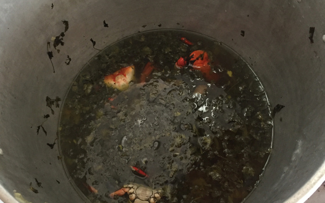 Carangueijo no alho e coentro