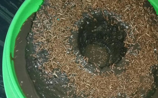 Bolo de chocolate de microondas