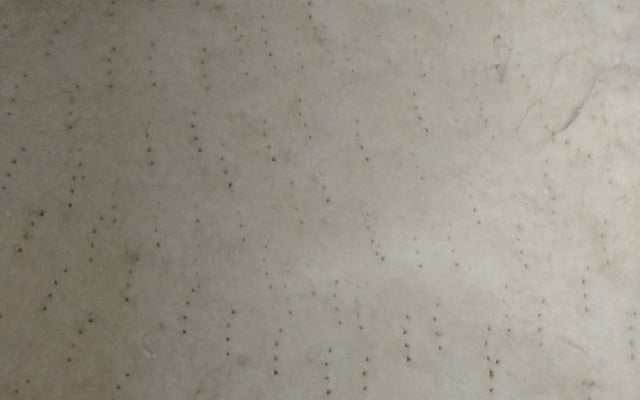 Massa de pizza sem ovo