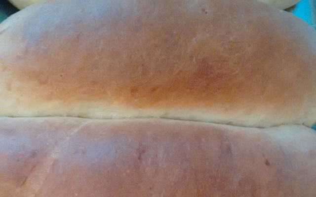 Pão caseiro (muito bom, muito macio)