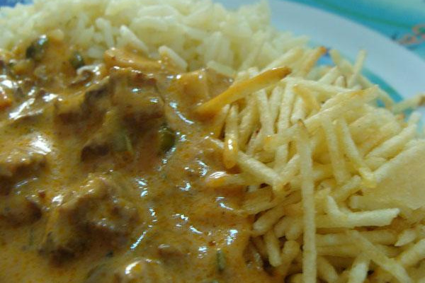 Estrogonofe de carne da família