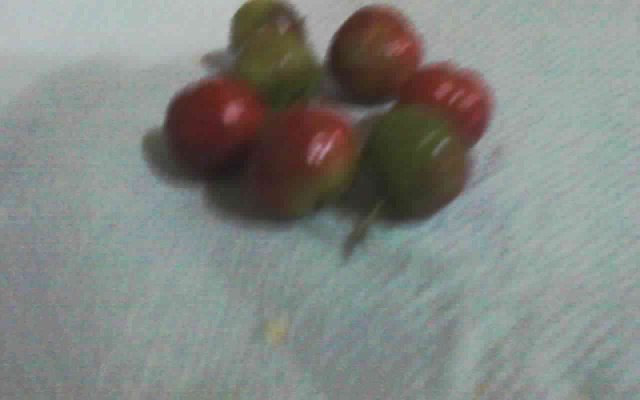 Gelado de frutas light