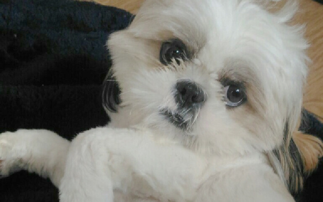 Bolo de Ovomaltine super fácil