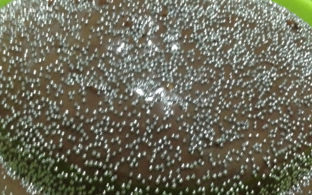 Bolo caseiro fofíssimo