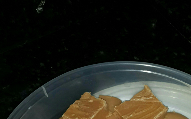 Doce de leite de cortar