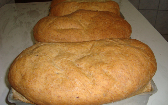 Pão de gérmen e farelo de trigo