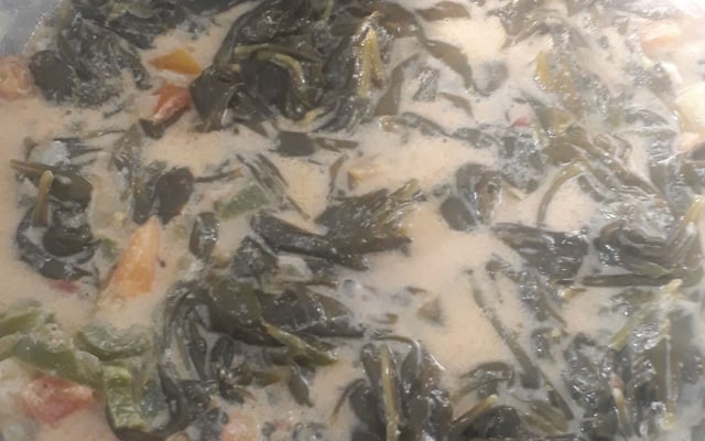 Bredo da semana santa