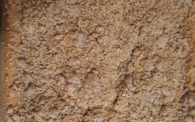 Cuca de banana com farofa