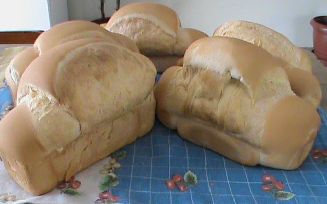 Pão colonial com fermento de batatas