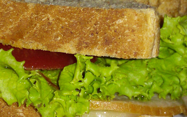 Sanduíche de peito de peru light