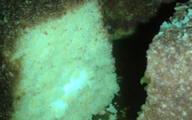 Bolo de milho mineiríssimo