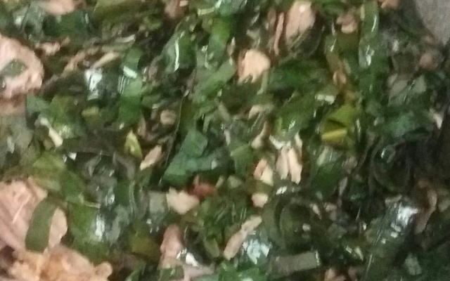 Arroz com suan Tudo Gostoso