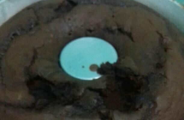 Bolo simples de chocolate