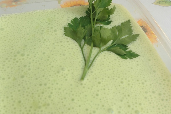 Pasta de Alho para churrasco e salada