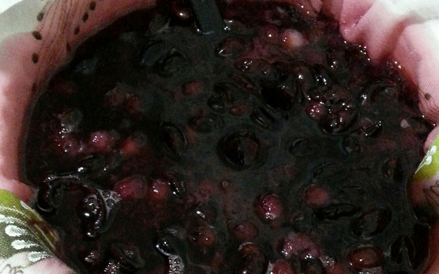 Licor de jaboticaba