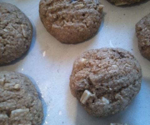 Bolacha mix com aveia e gengibre