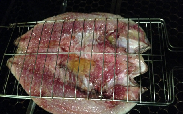 Tainha espalmada no forno