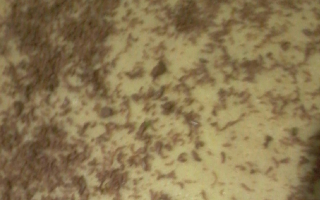 Bolo de limão com cobertura de Bis