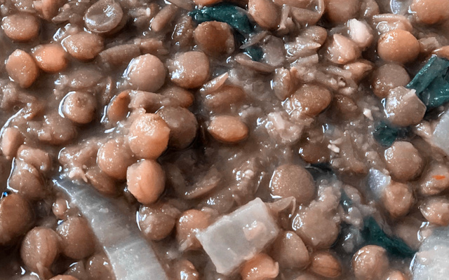 Lentilha (preparo básico, substituto do feijão)