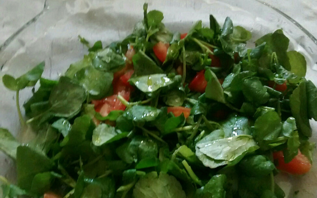 Salada de agrião