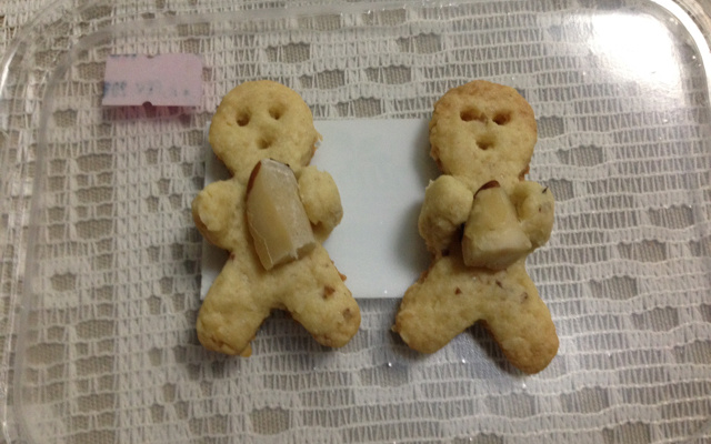 Biscoito de castanha-do-pará