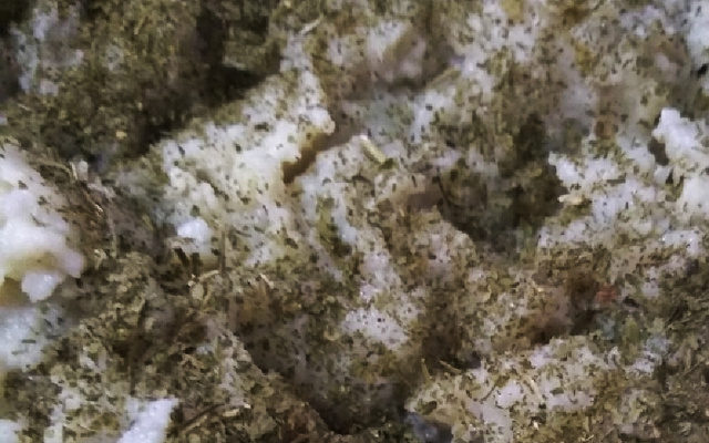 Purê de batata doce com salsinha