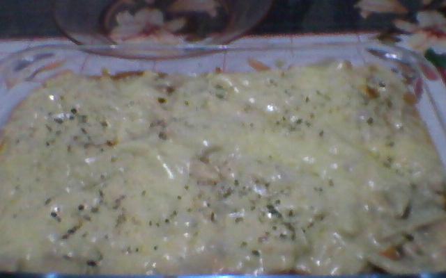 Macarrão com carne moída na pressão