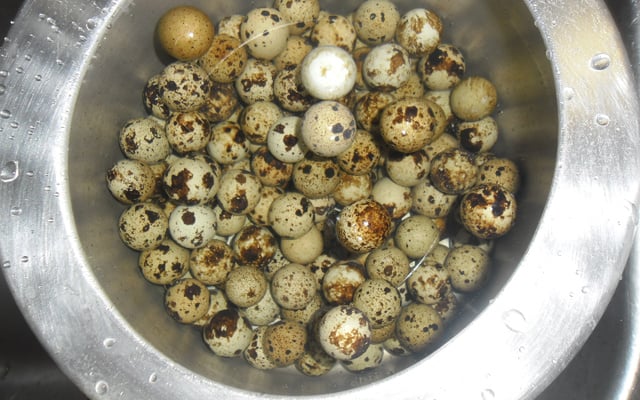 Moqueca de ovo de Codorna da Jai