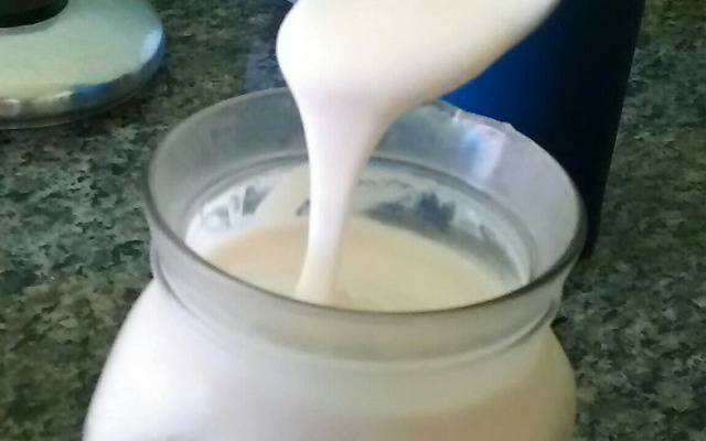 Iogurte caseiro