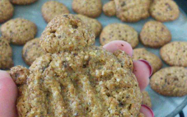 Biscoito de aveia (integral)