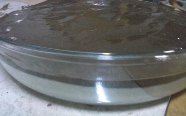 Doce gelado de coco com chocolate