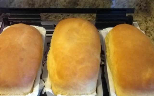 Pão de liqüidificador