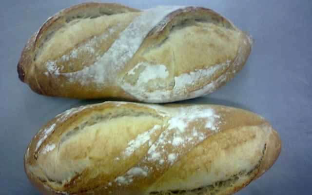 Panhoca com  queijo gorgonzola