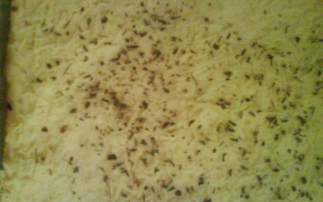 Escondidinho de batata com recheio de pizza