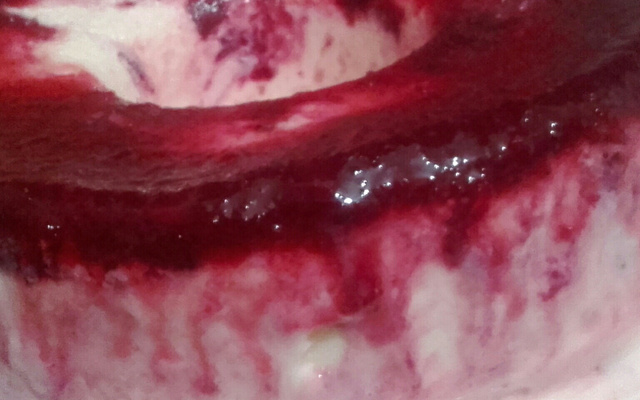 Bolo de sorvete caseiro