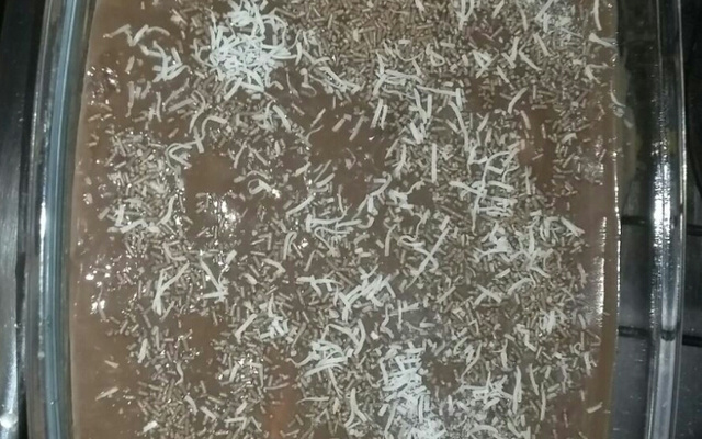 Pavê branco e preto